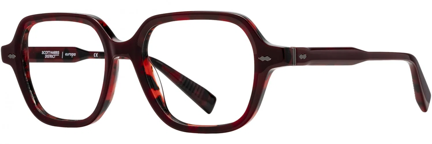 Scott Harris SHD007 Eyeglasses - view 7
